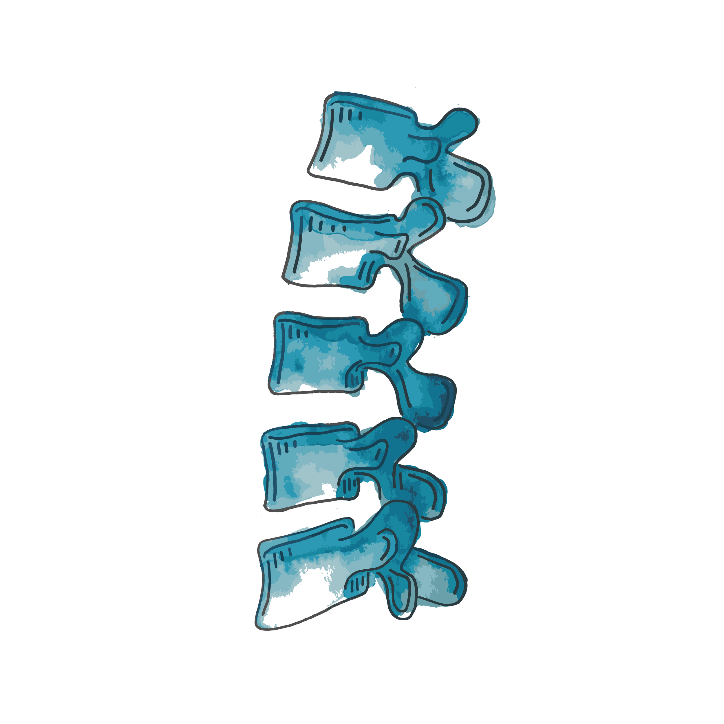 Spine1@4x.png