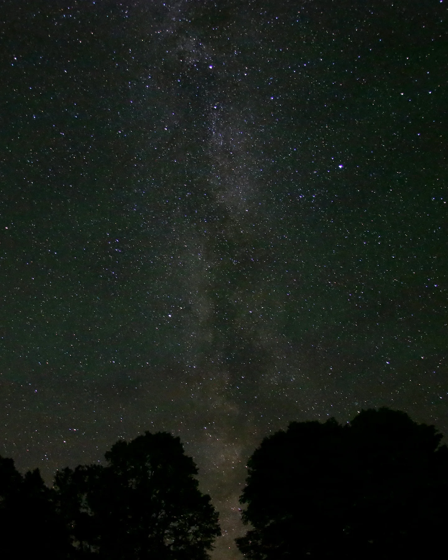 StarryNight.jpg