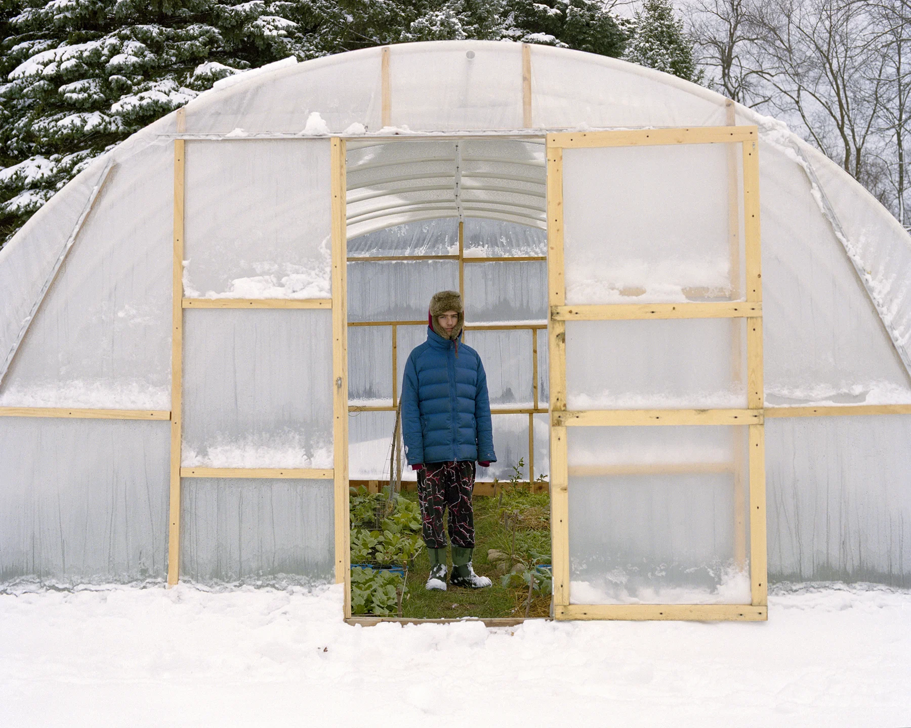 trev_GreenhouseWinter copy.jpg