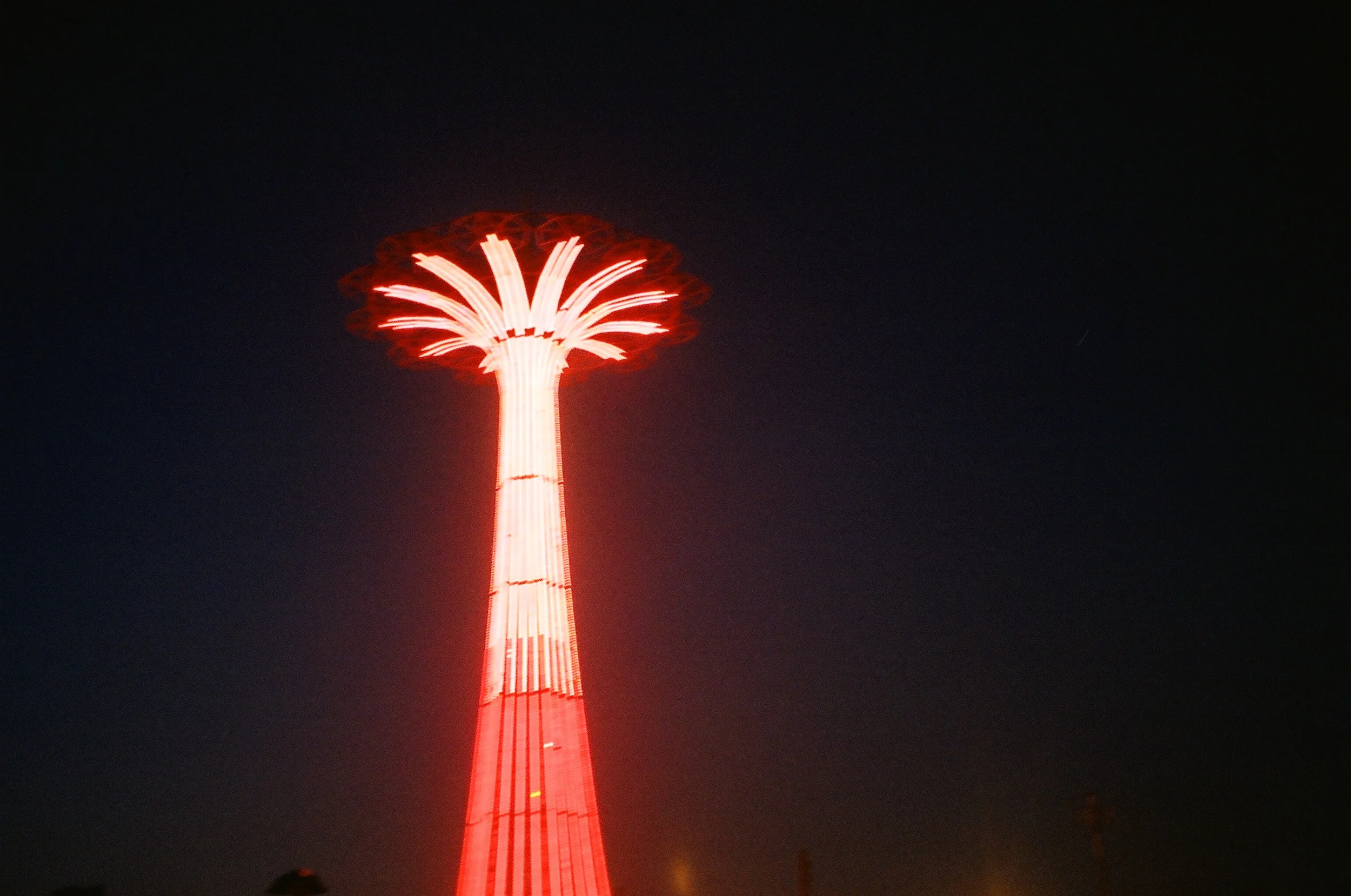 37570003.JPG