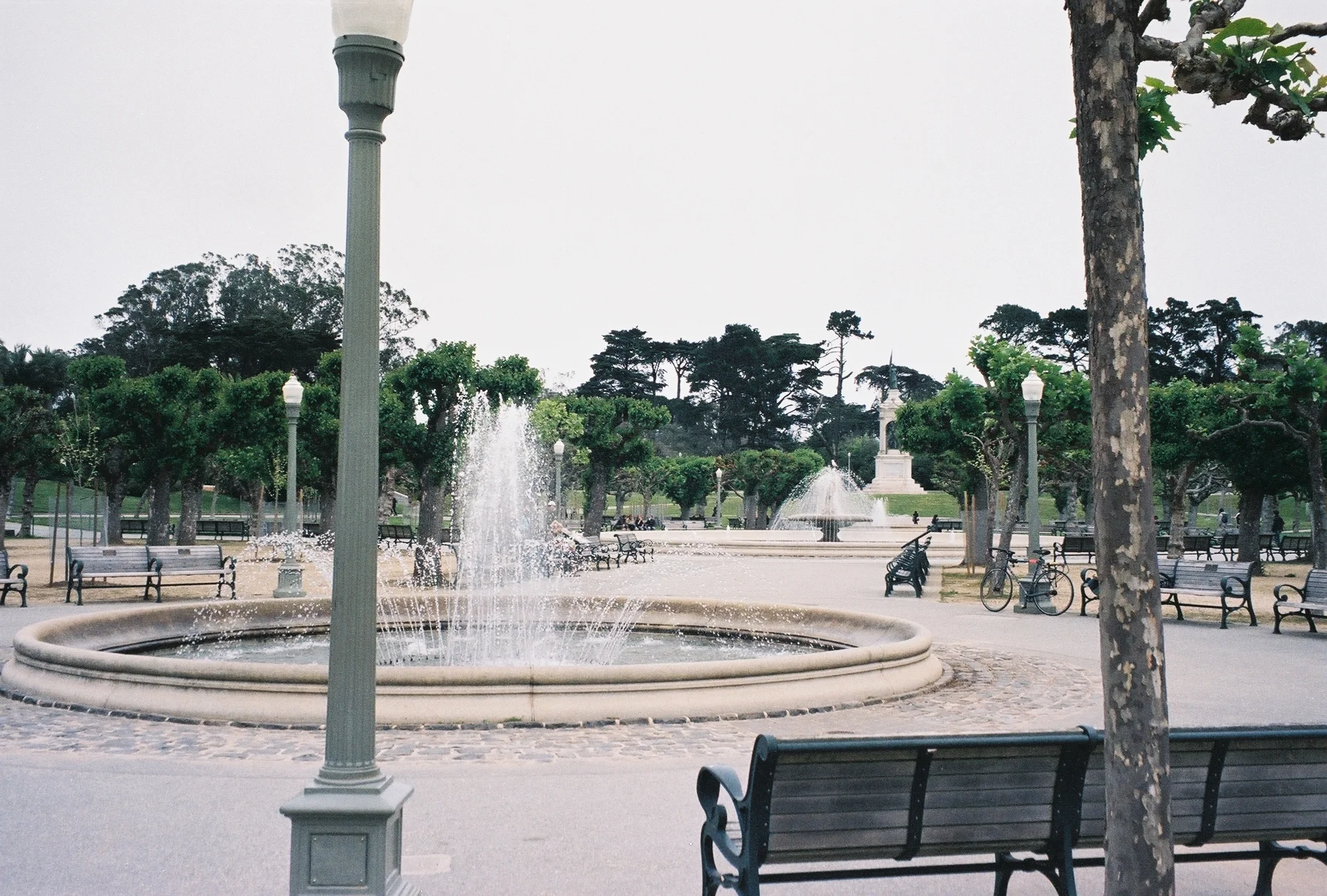 A169014_004.jpg