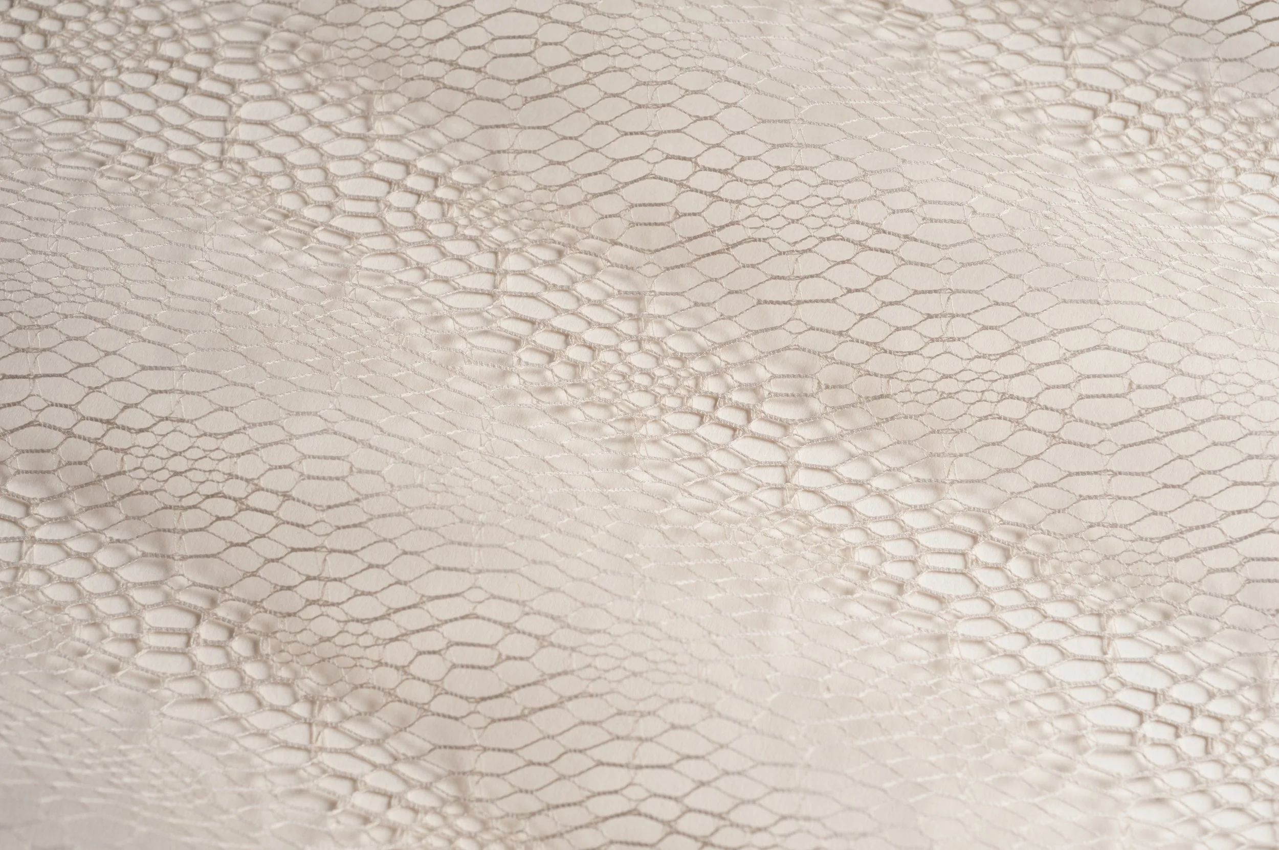 SPIDERS WEB I LINEN