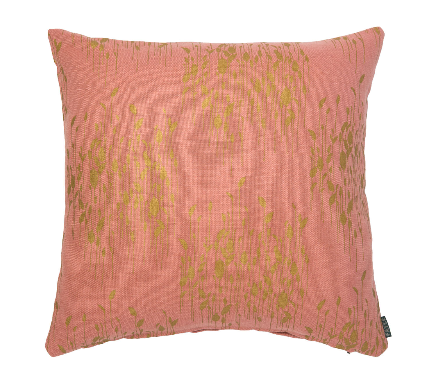 PHRAGMITES I ANTIQUE ROSE