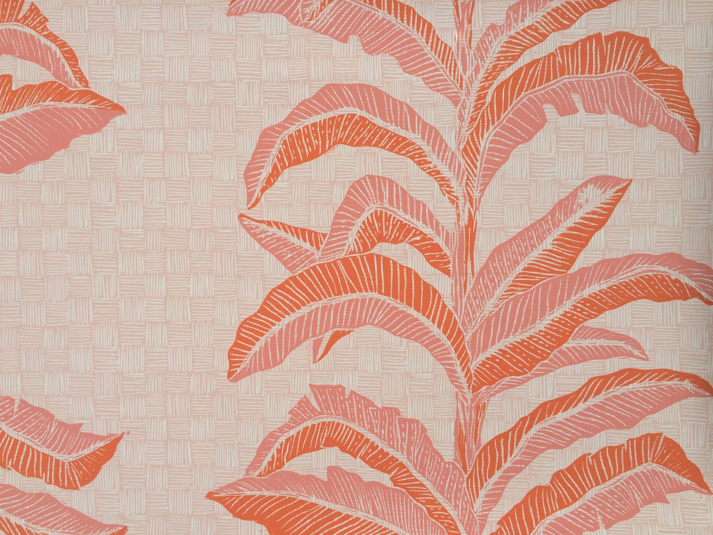 BANANA LEAF I CORAL PINK