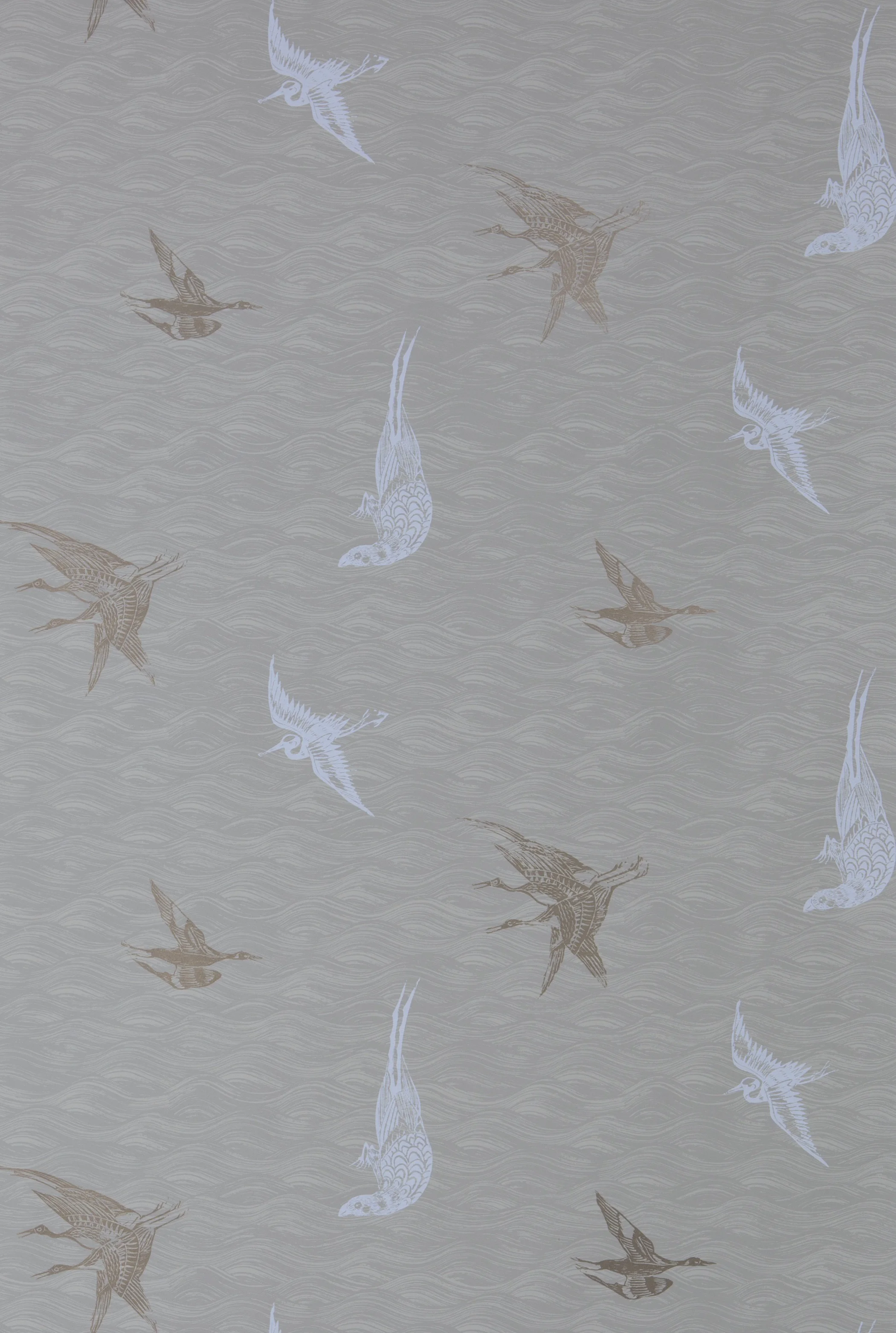 BIRDS I DUNE