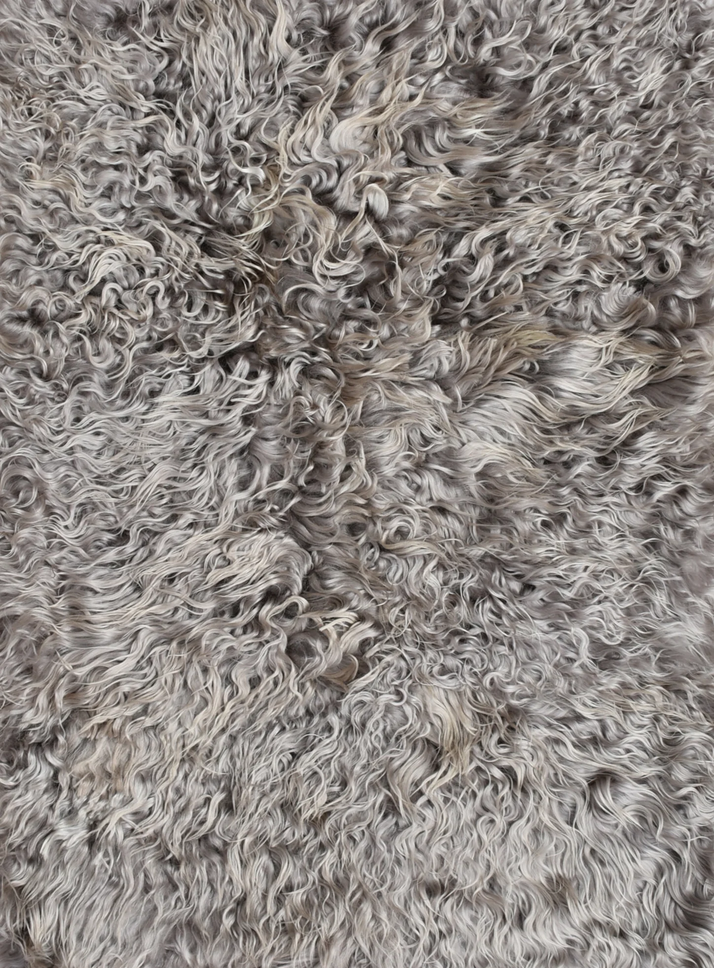 CURLY GOATSKIN I SILVER