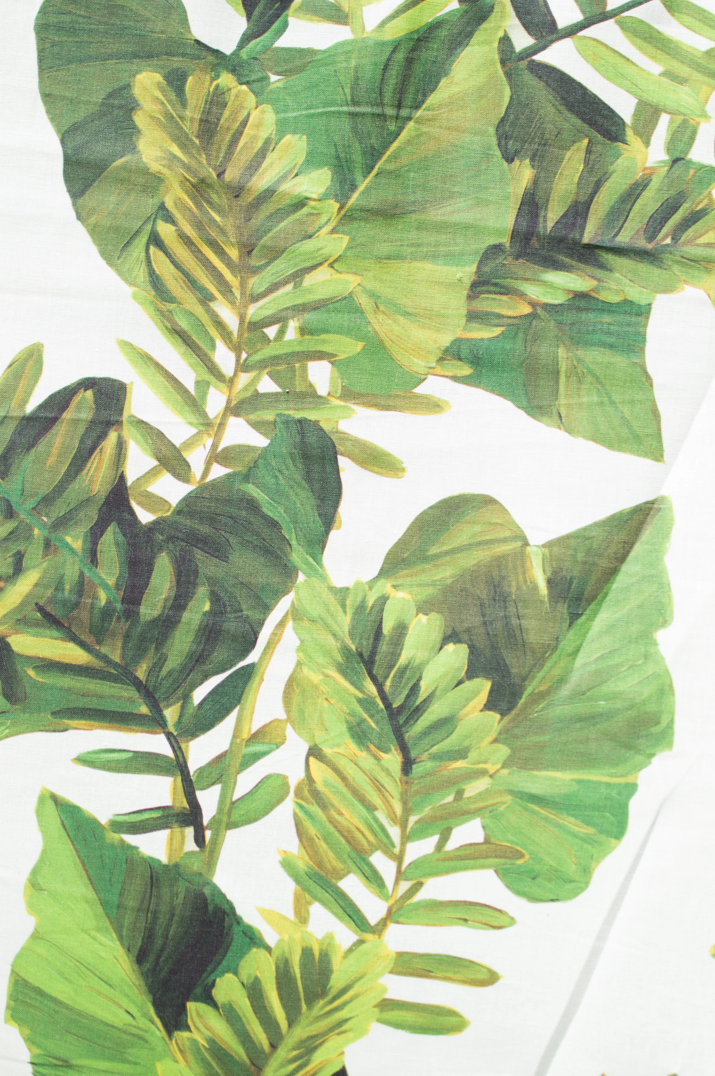 FOLIAGE I JUNGLE