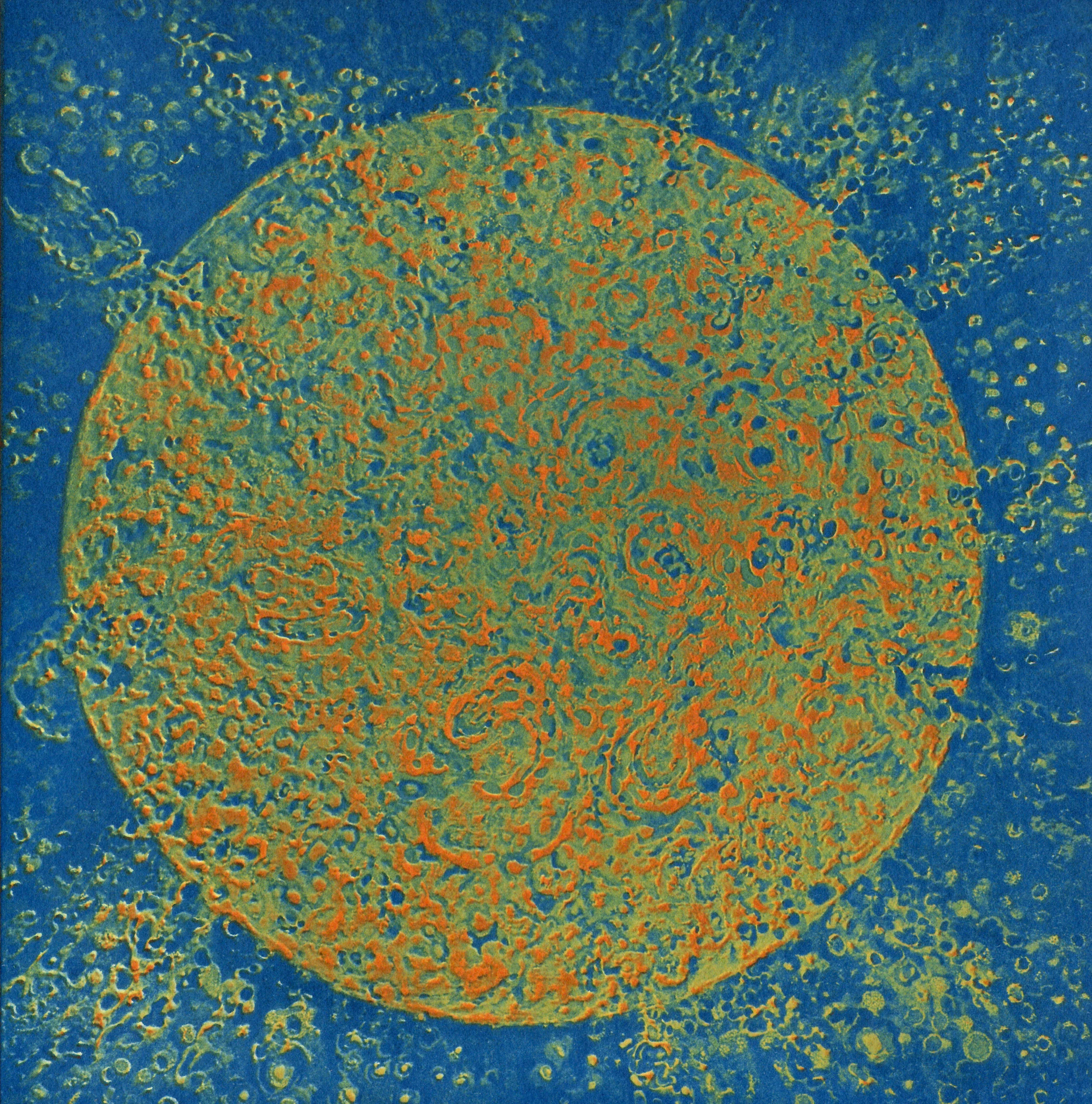 Title: DETAIL from composite: Sun Series. One of six unique photographic prints. Medium: Cyanotype overprinted with Gum Bichromate. Individual print size: 6.5” (h) x 6.5” (w) Over all size: 13” H x 19.5” W DATE: 2019
