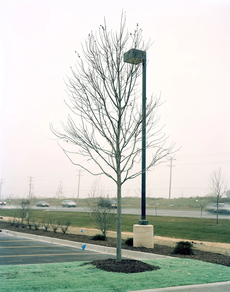 tumblr_ldheqhT0Vv1qztiwao1_1280.jpg