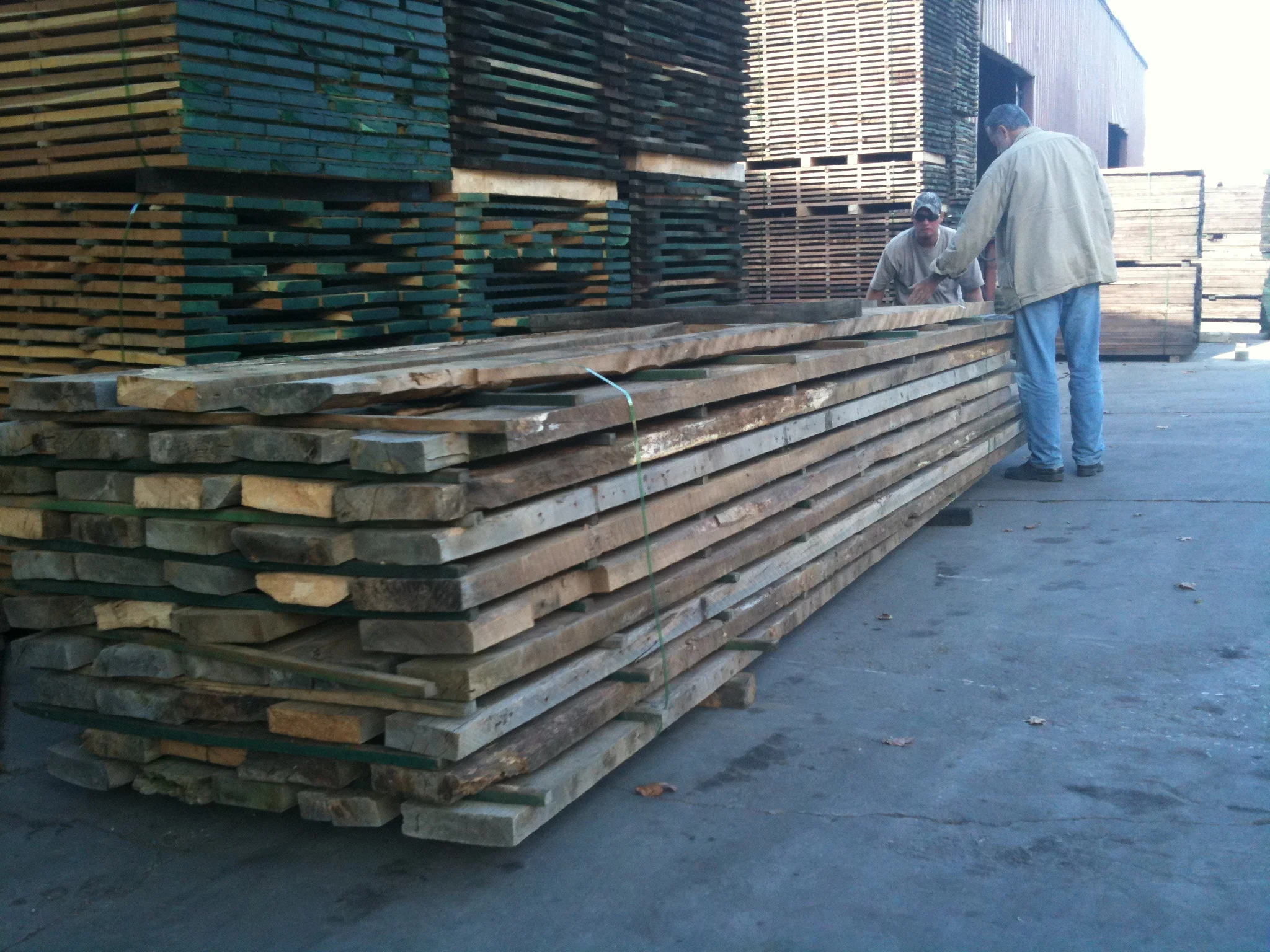 Picking up wood for Cava Bethesda