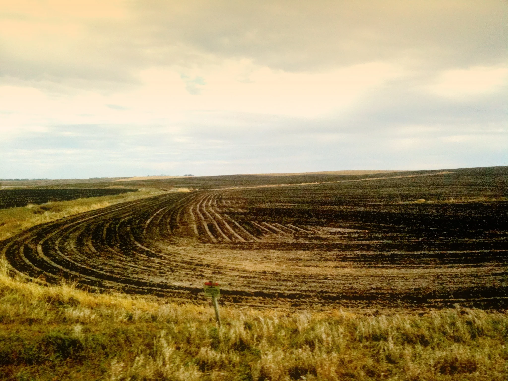Picking up Cava Mezze wood, Iowa