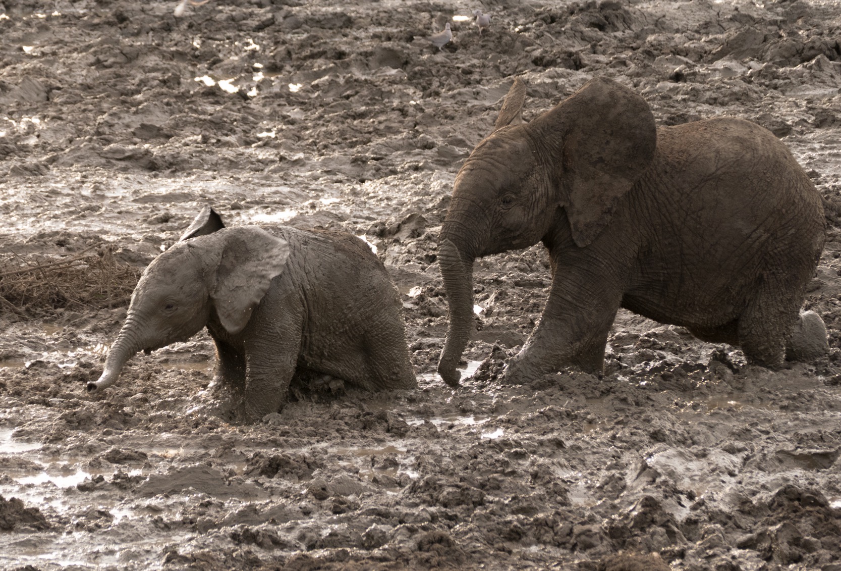 Madike, South Africa