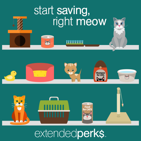 Feb-18---Perks-Pet.png