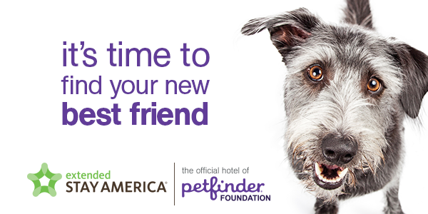 July-30---Mutts-Day---Petfinder.png