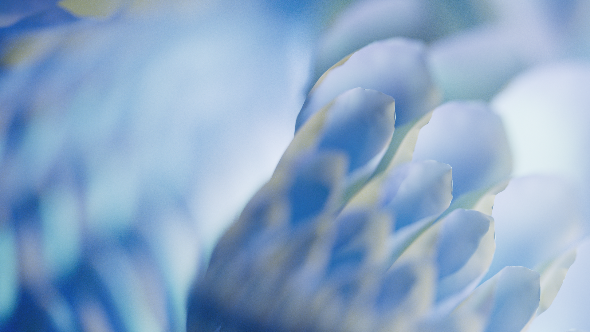 bb_tk_motionStudy_v050.Redshift_ROP1.0038 (0-00-00-00).png