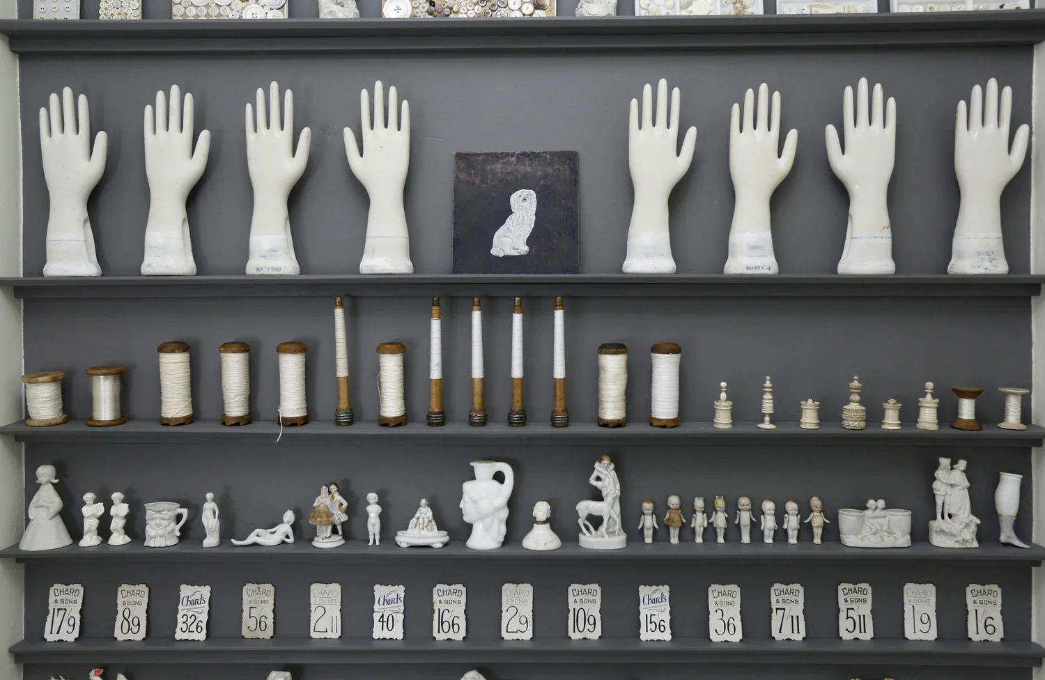 Installation — Caroline Waite