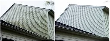 Want to boost your curb appeal? Easy! One of our low pressure house washes will kill and remove all the algae, mold, dirt and cobwebs, making your siding look brand new!