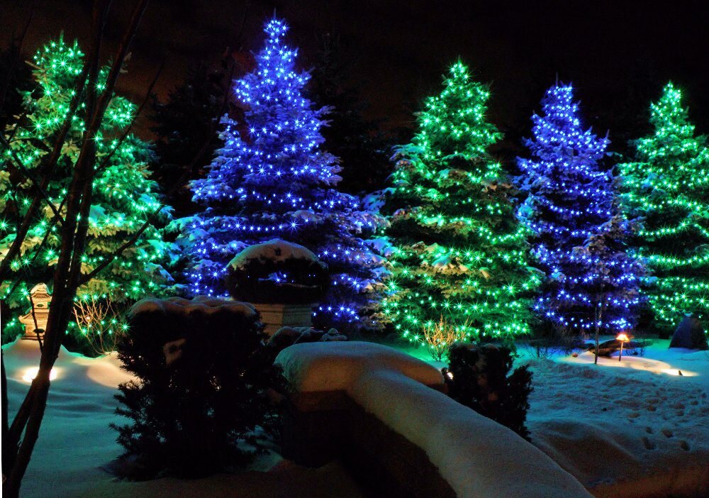 Christmas Light Installation