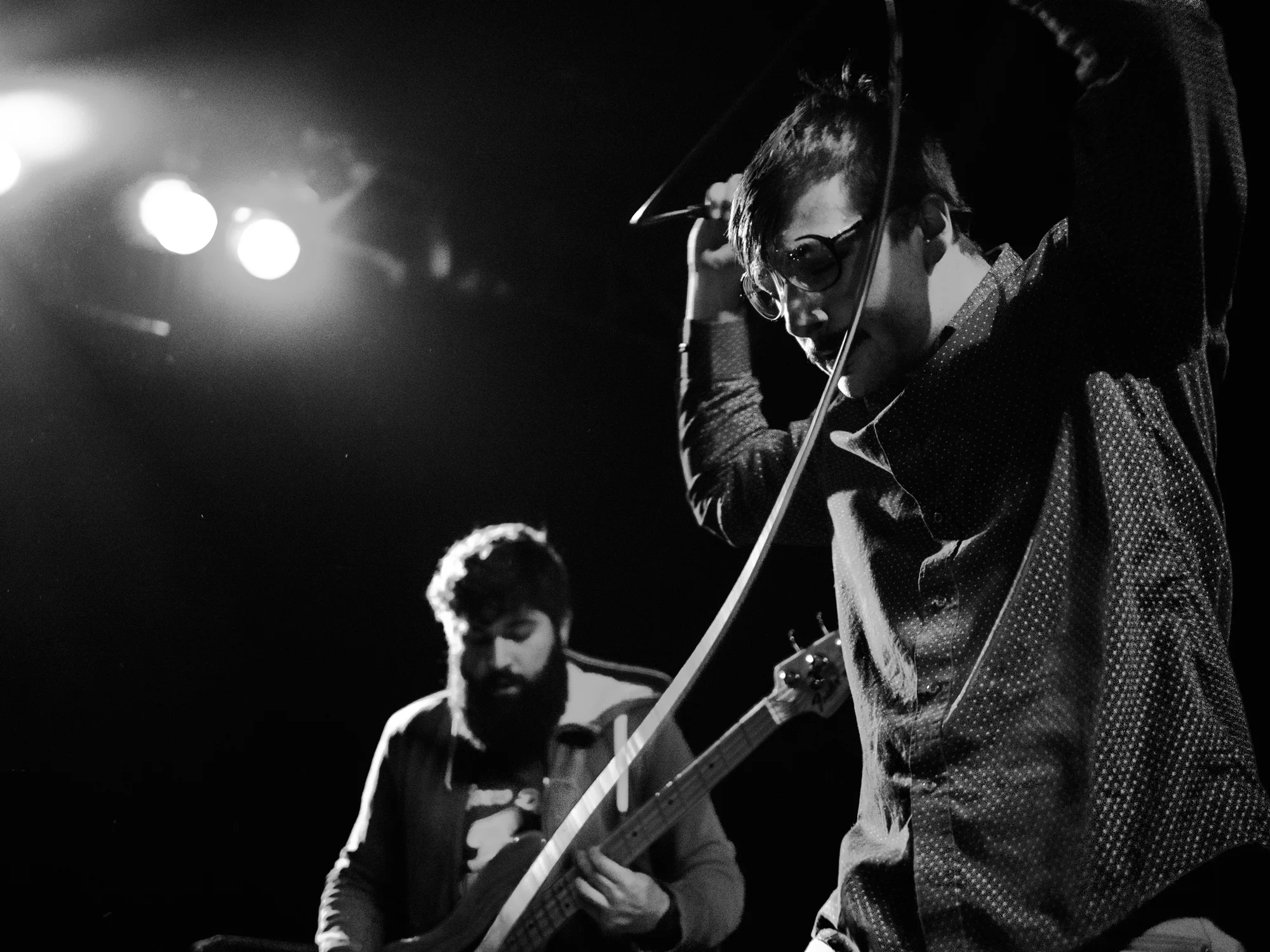 Foxing_01_large.jpg