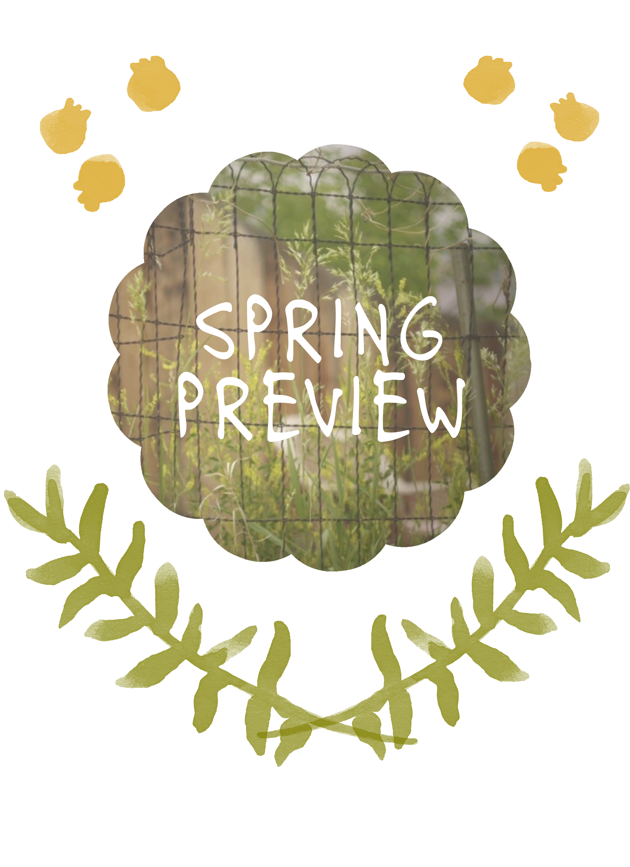 springpreview copy.png