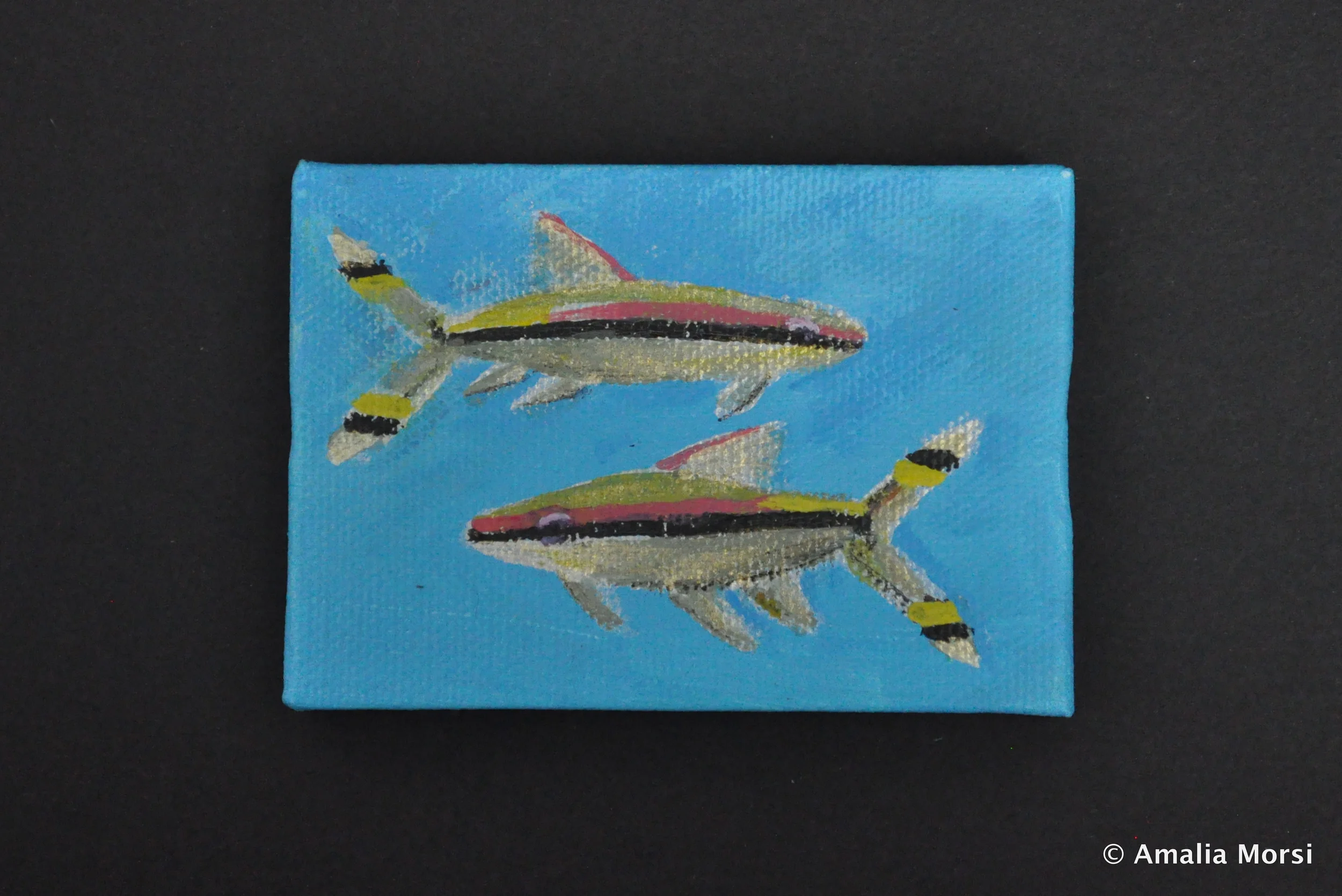 Roseline Sharks 2" x 3"