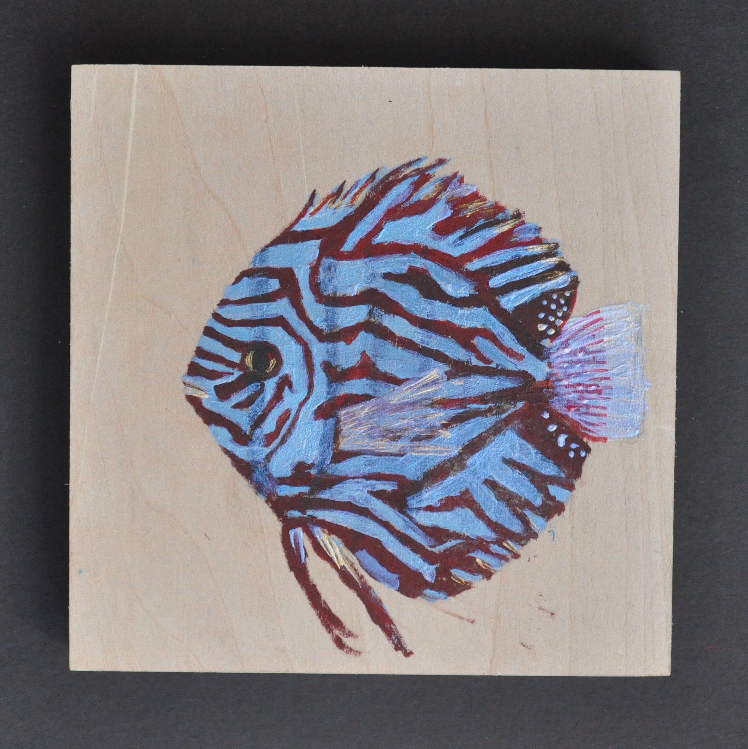 Blue/Red Discus