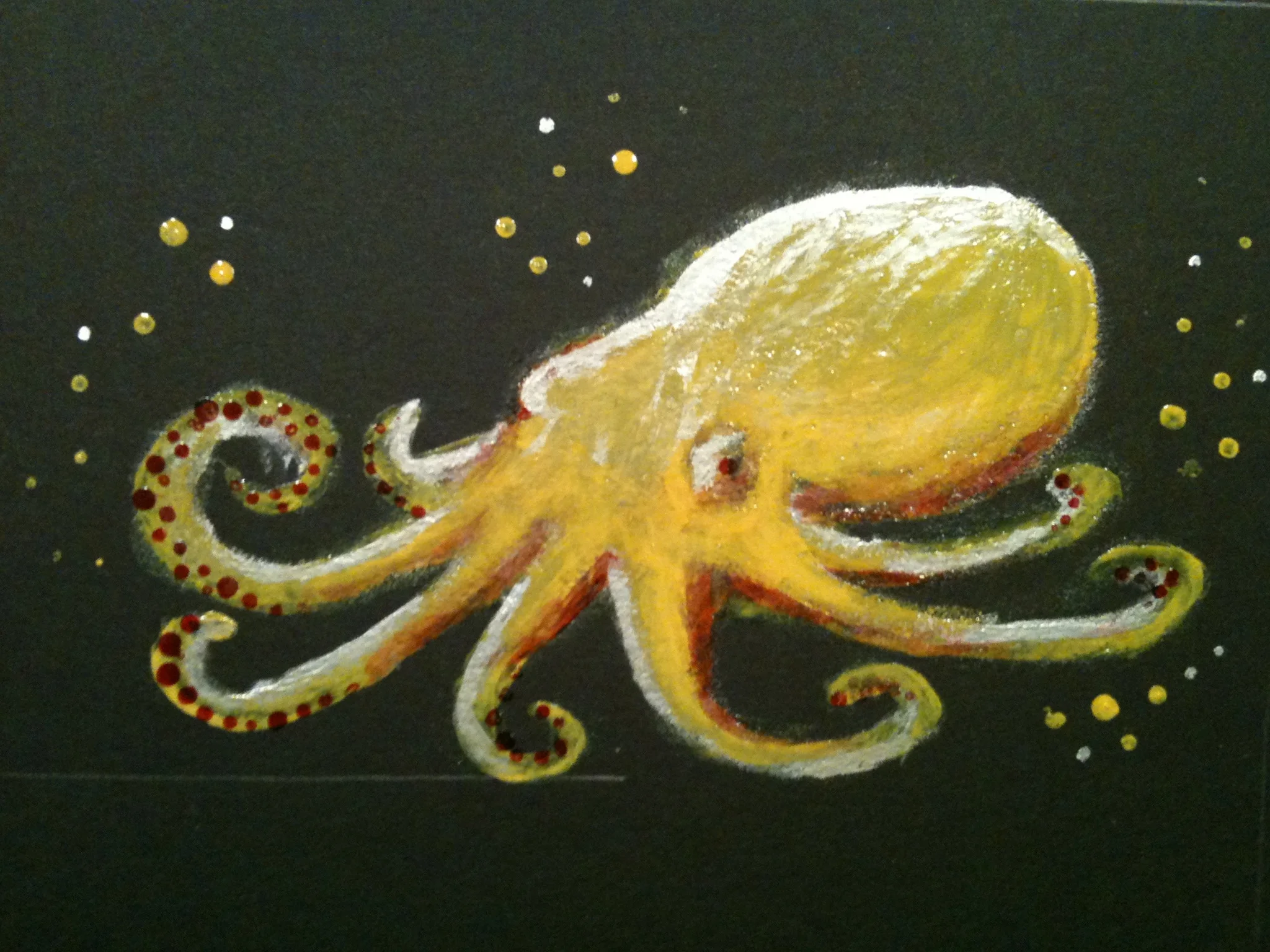 Octopus
