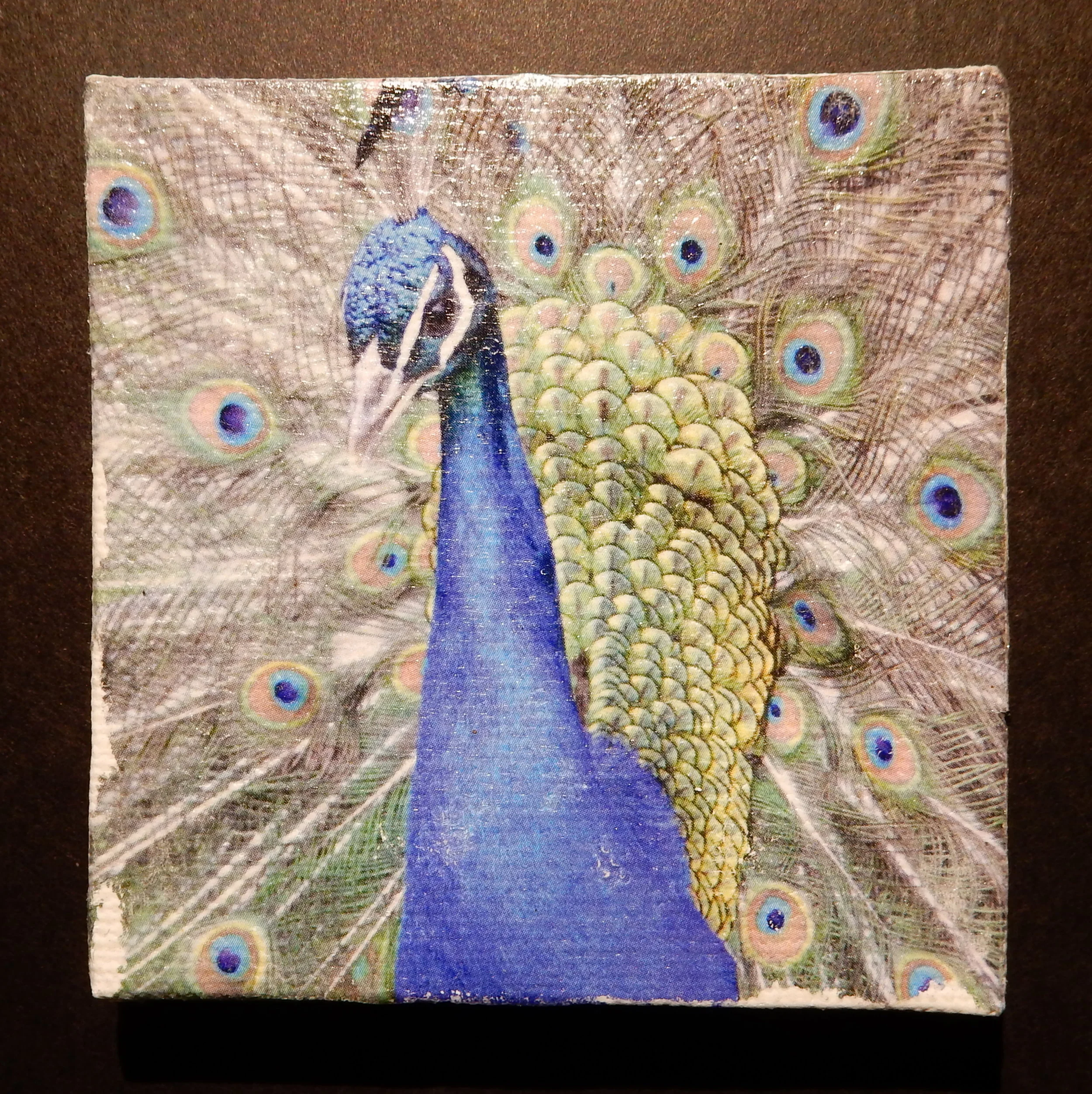Peacock