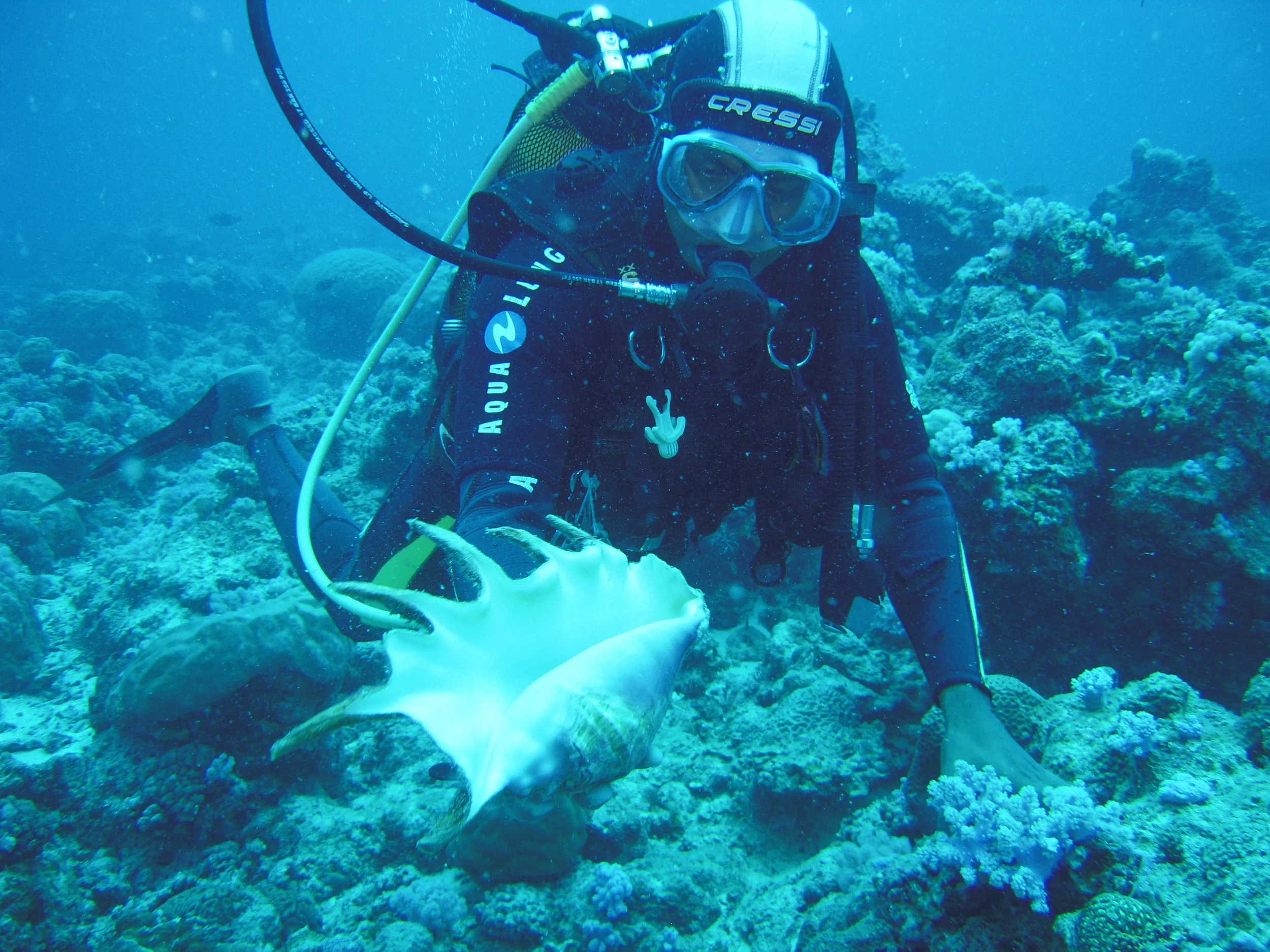 DSCN5925.JPG