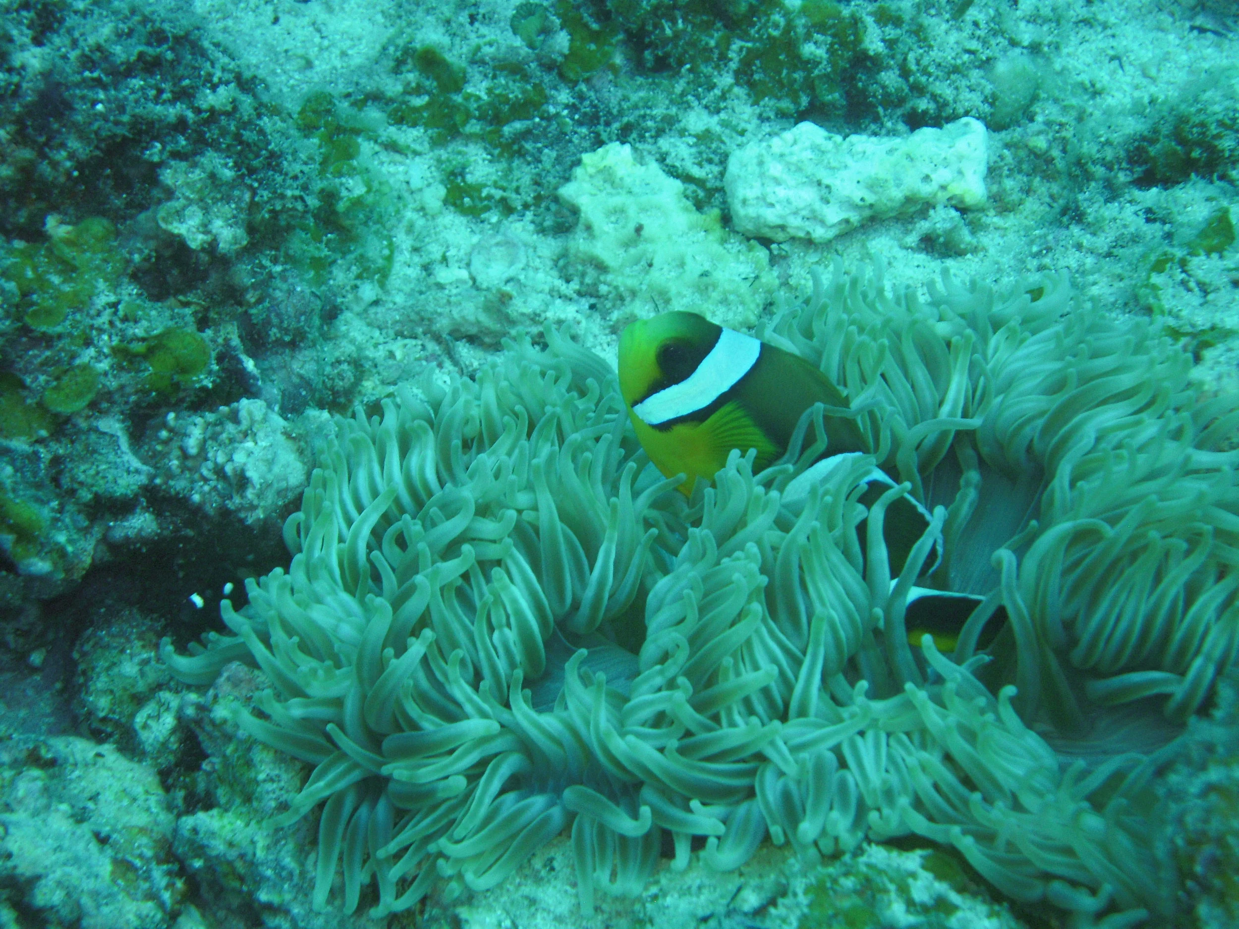 DSCN6079.JPG