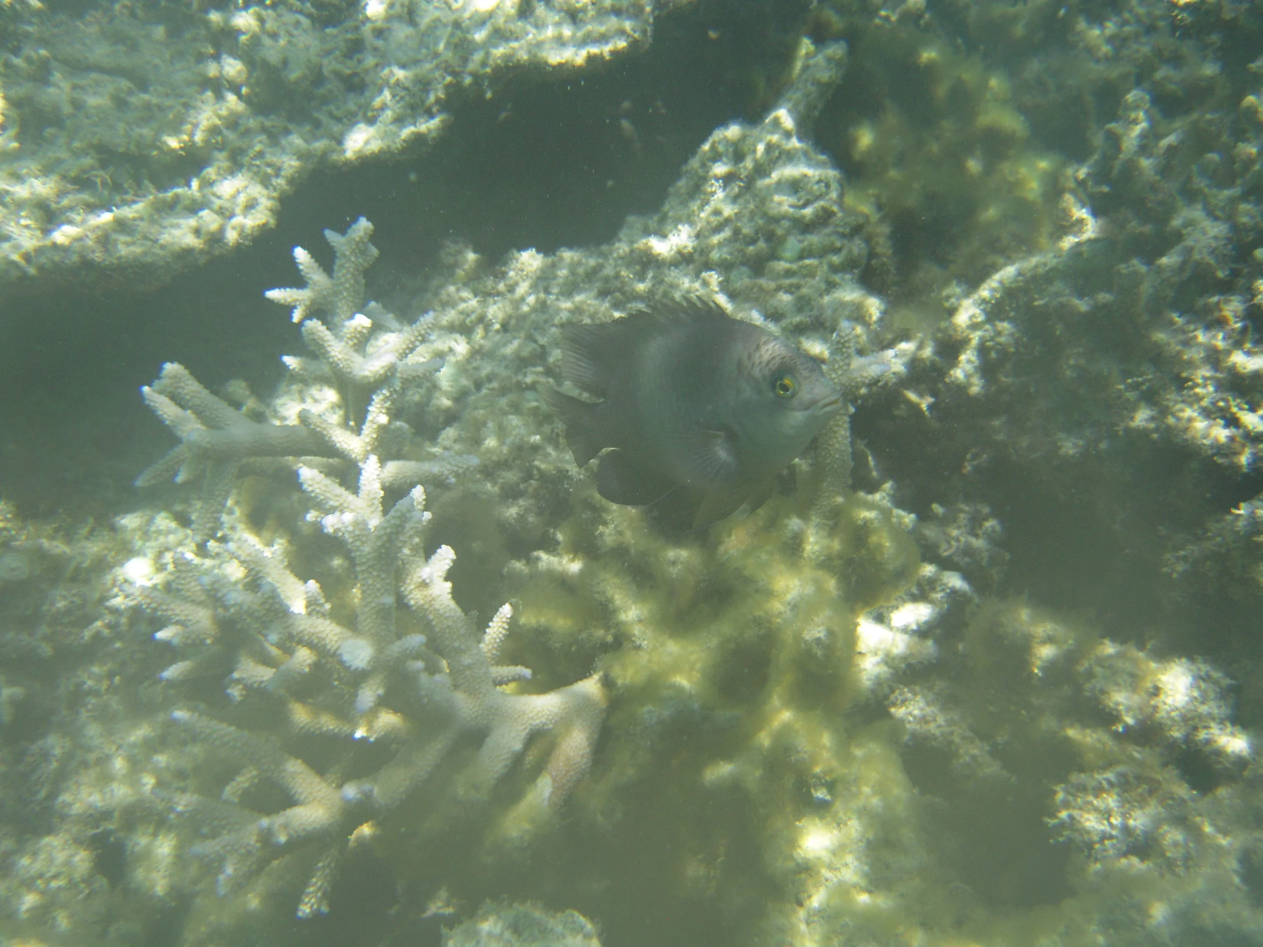 DSCN6257.JPG