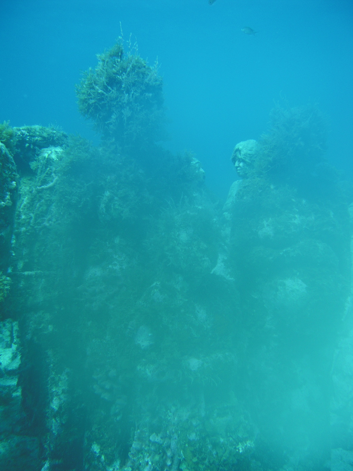 DSCN0044.JPG