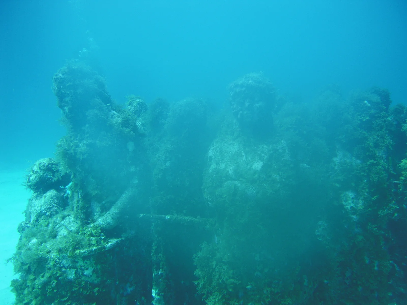 DSCN0048.JPG