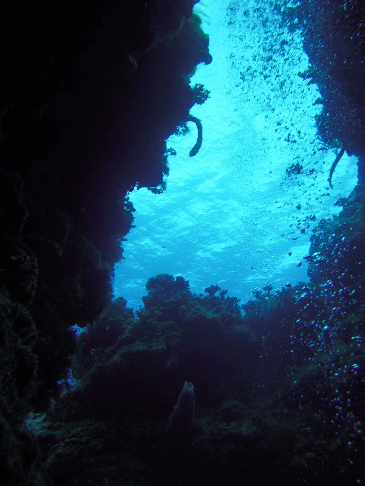 DSCN0243.JPG