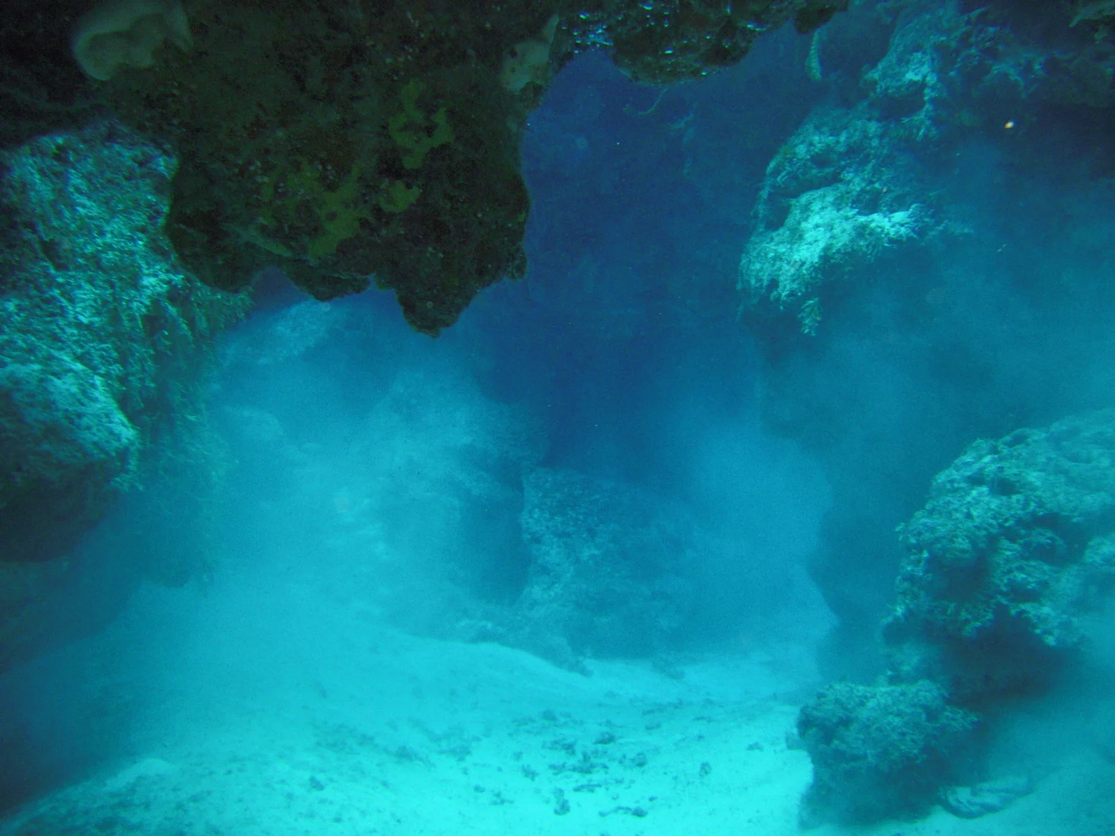 DSCN0244.JPG