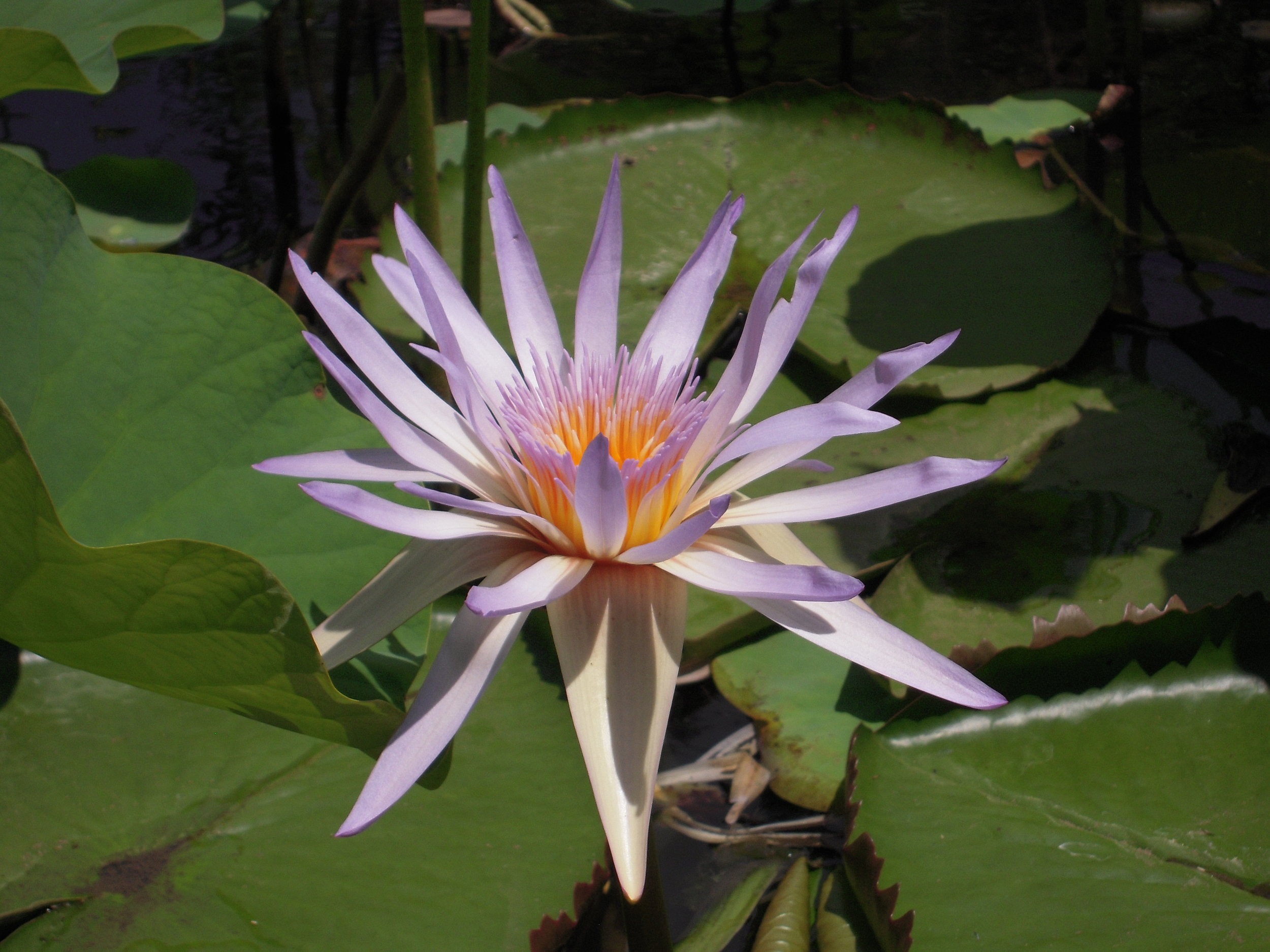 DSCN6159.JPG