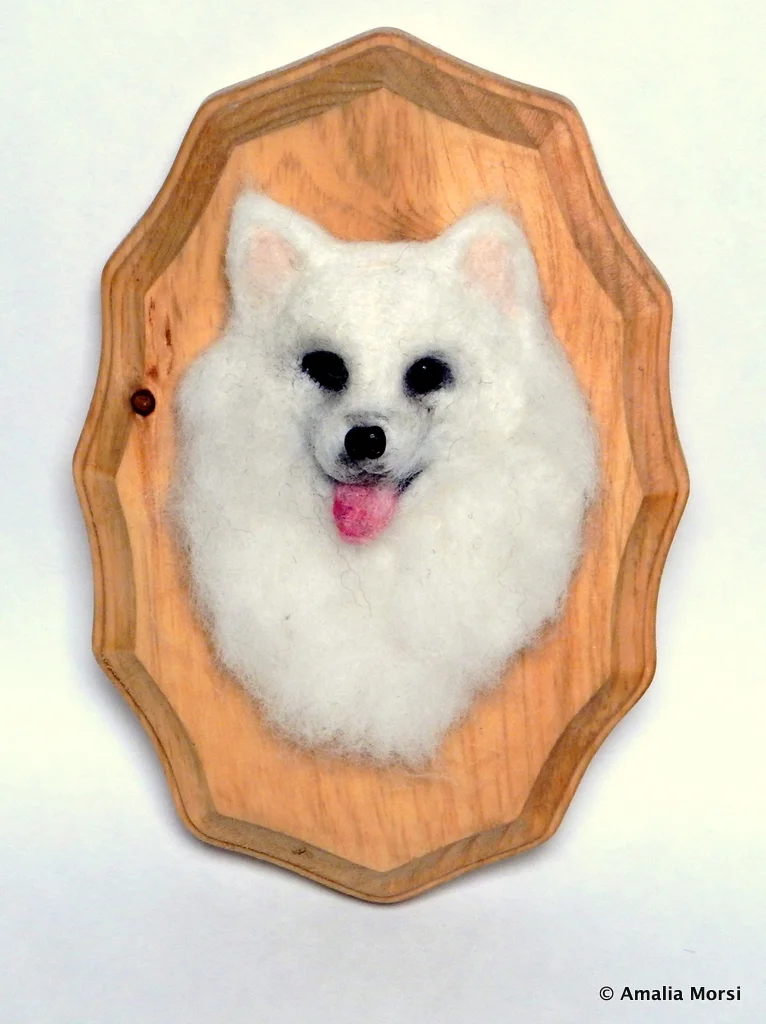 Anouk - American Eskimo 