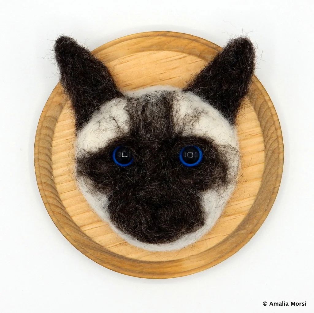 Siamese Cat