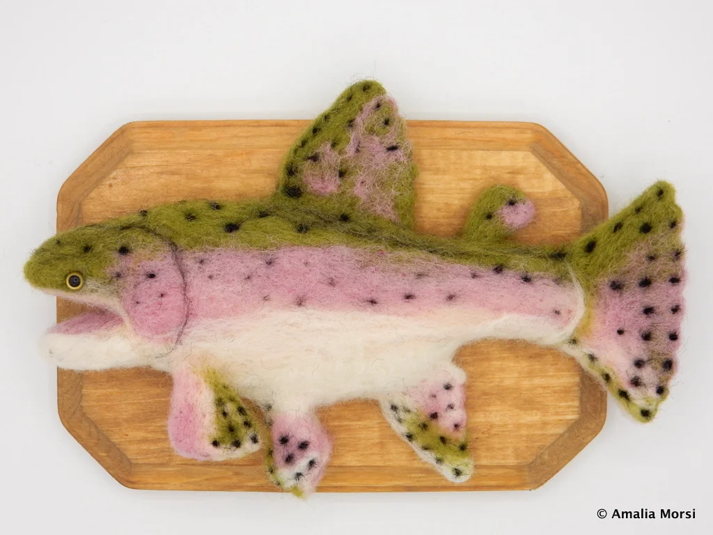 Catch of the Day - Trout