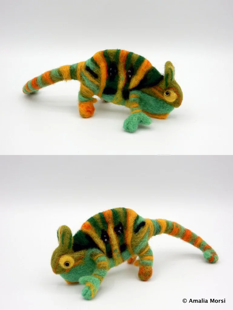 Panther Chameleon (both sides)