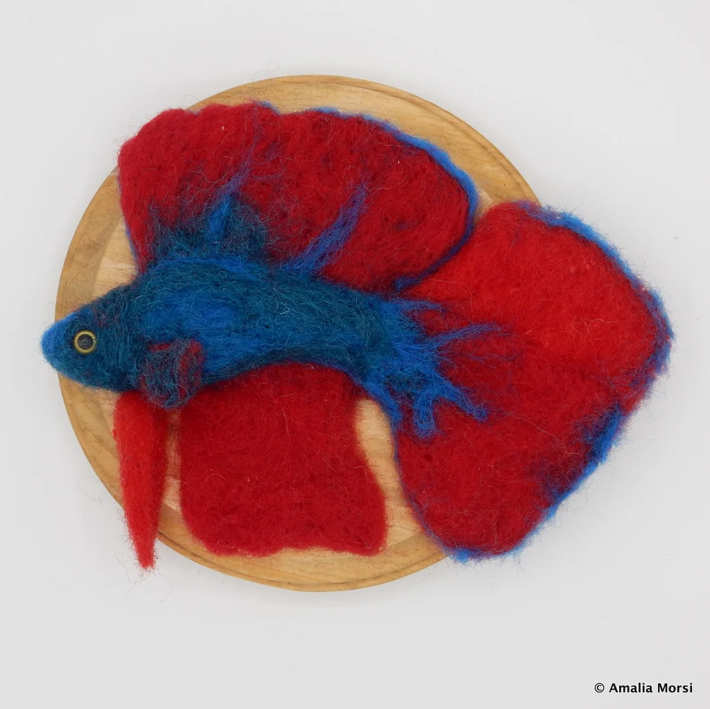 Red and Blue Betta Fish - SOLD
