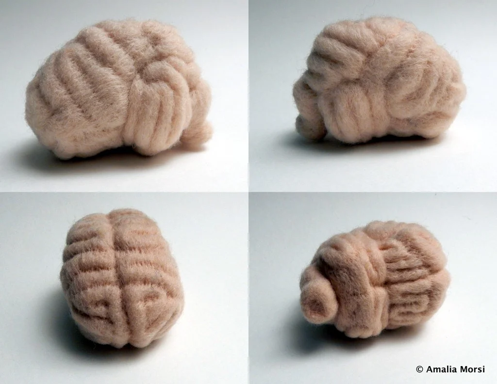 Needle Felted Brain collage.jpg