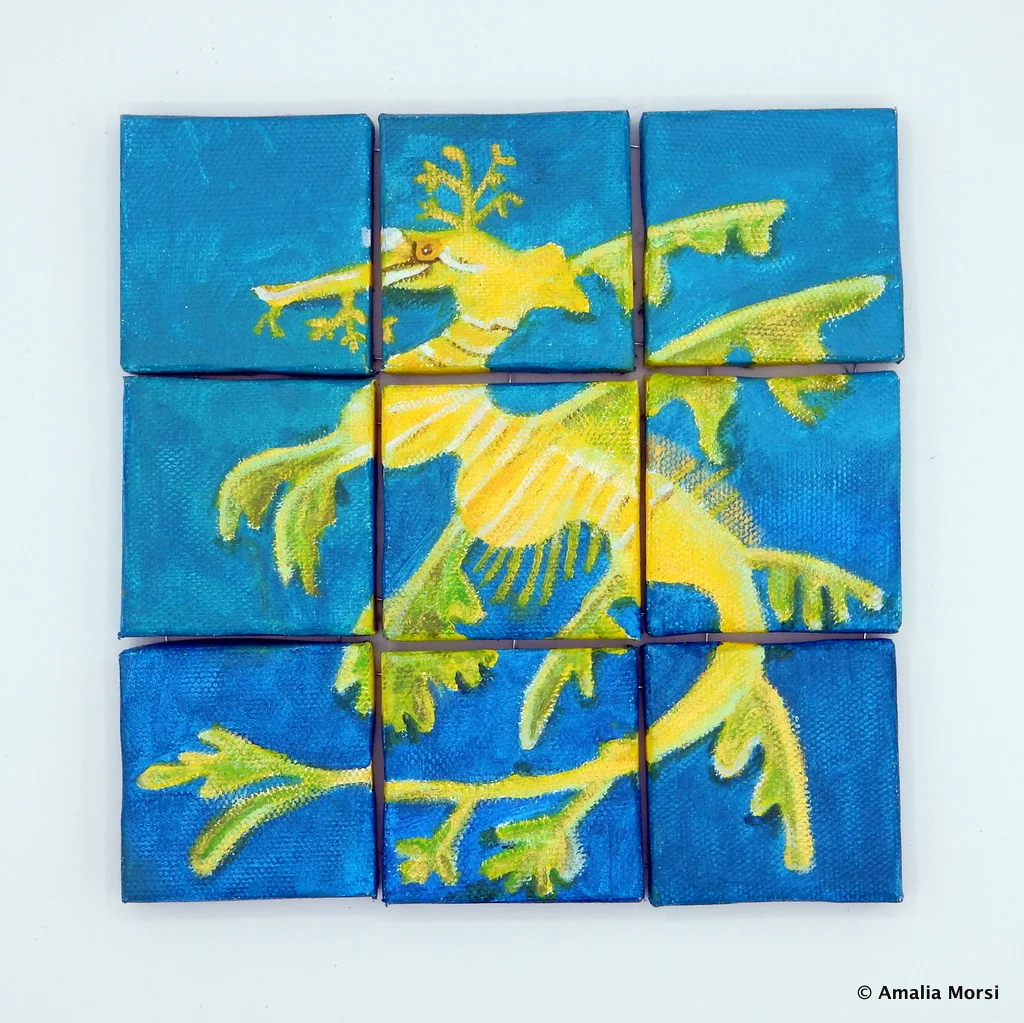 Leafy Sea Dragon 