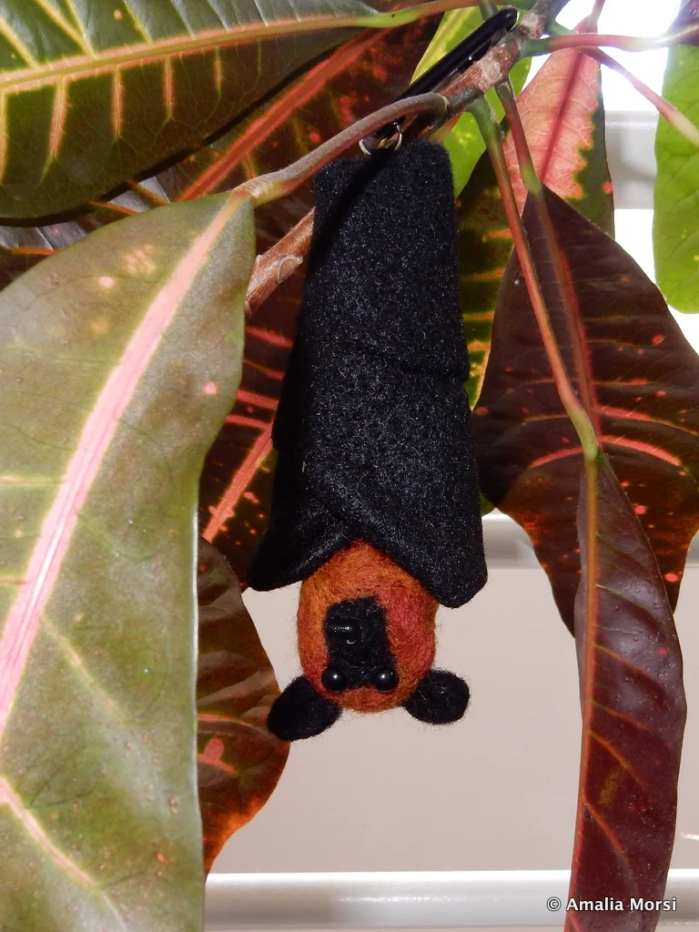 Fruit Bat