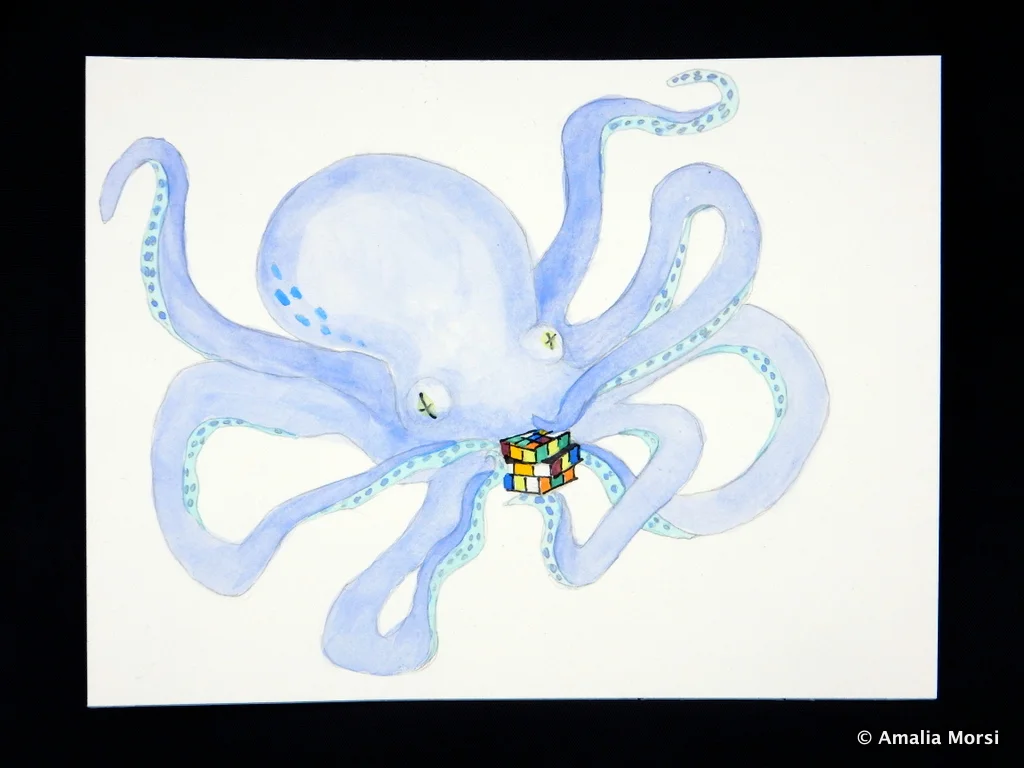 Octopuzzle