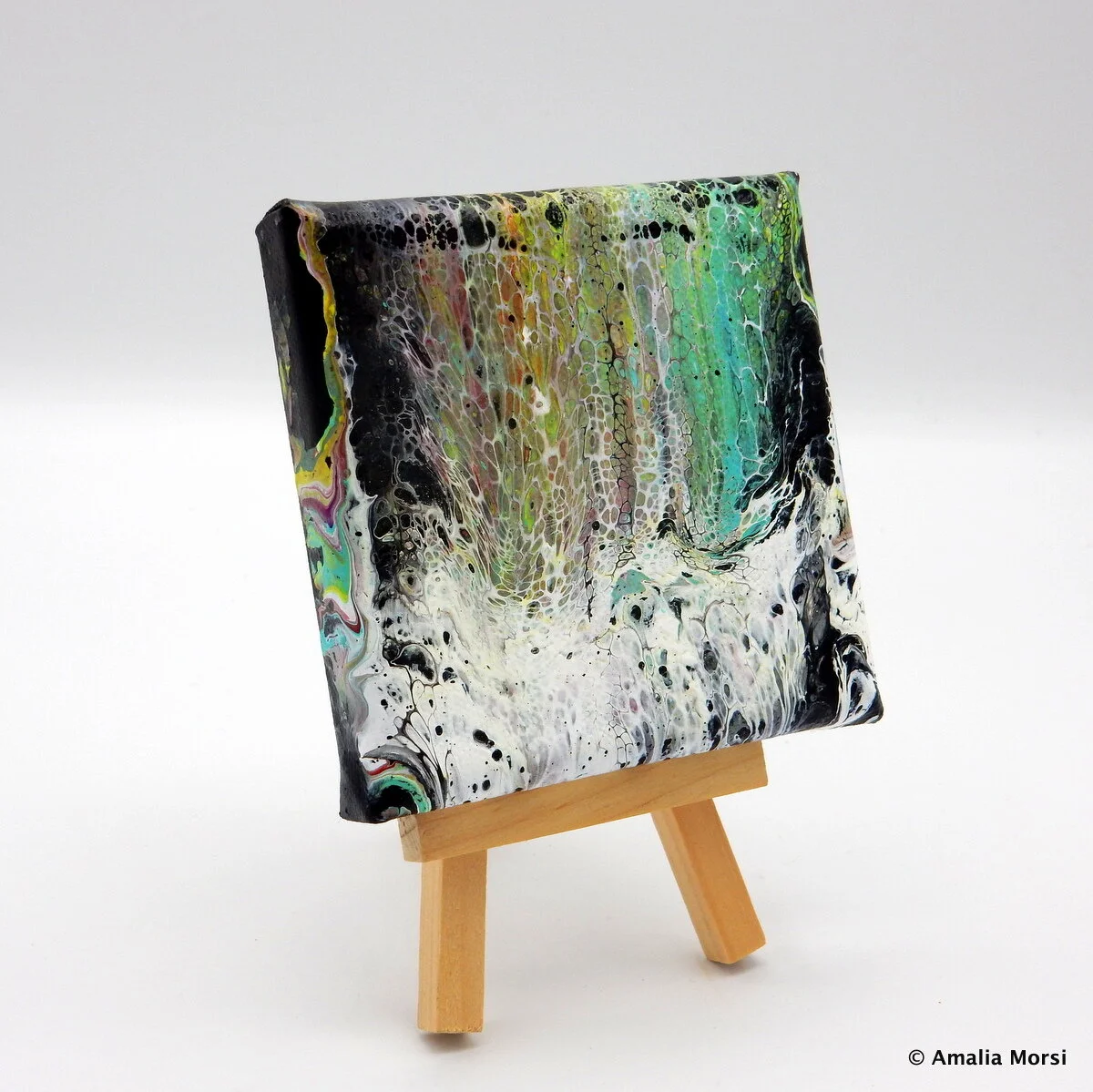 Aurora Dance on Snow (side view)