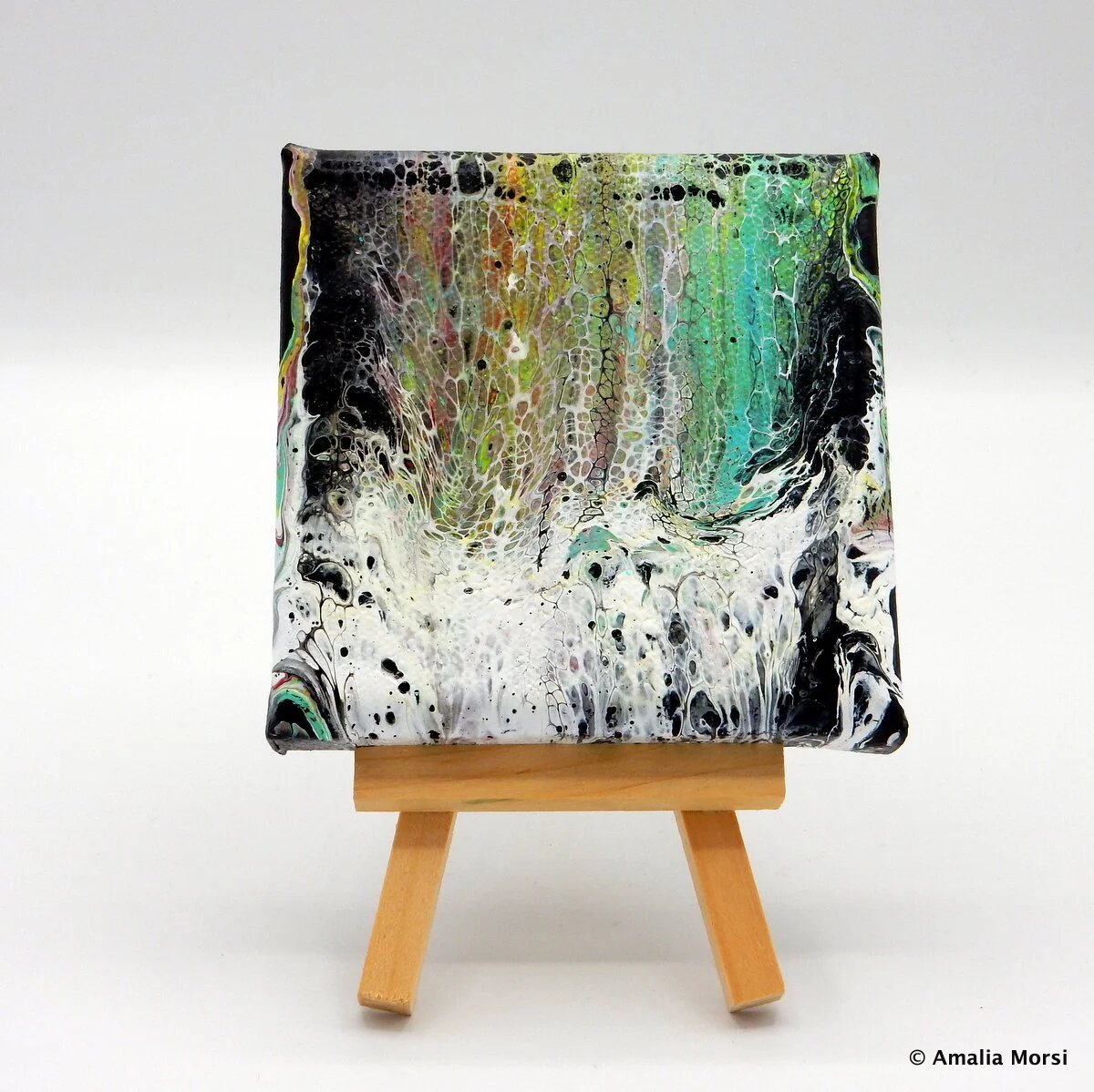 Aurora Dance on Snow