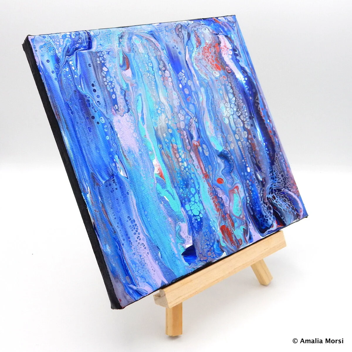 Xylem and Phloem (side view)