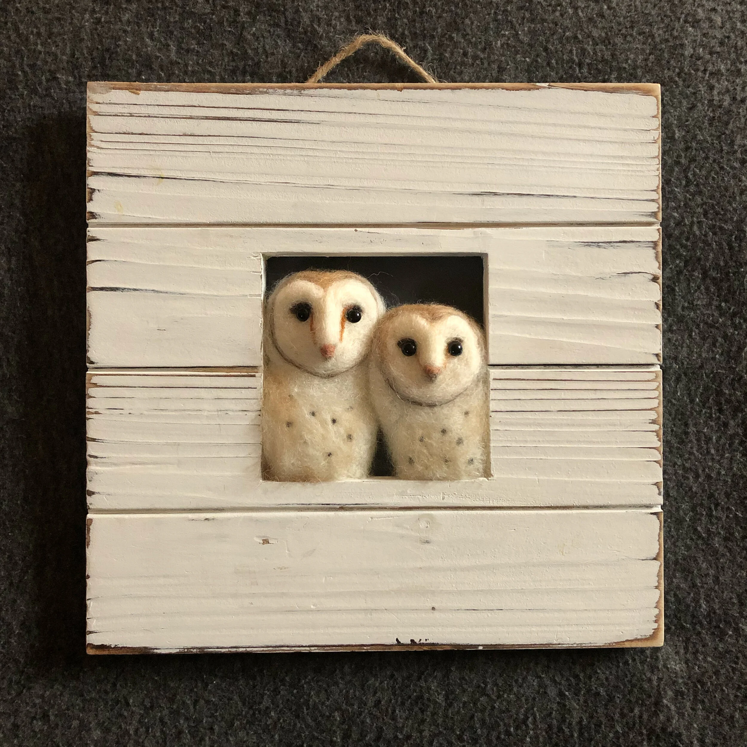 Peeping Barn Owls 