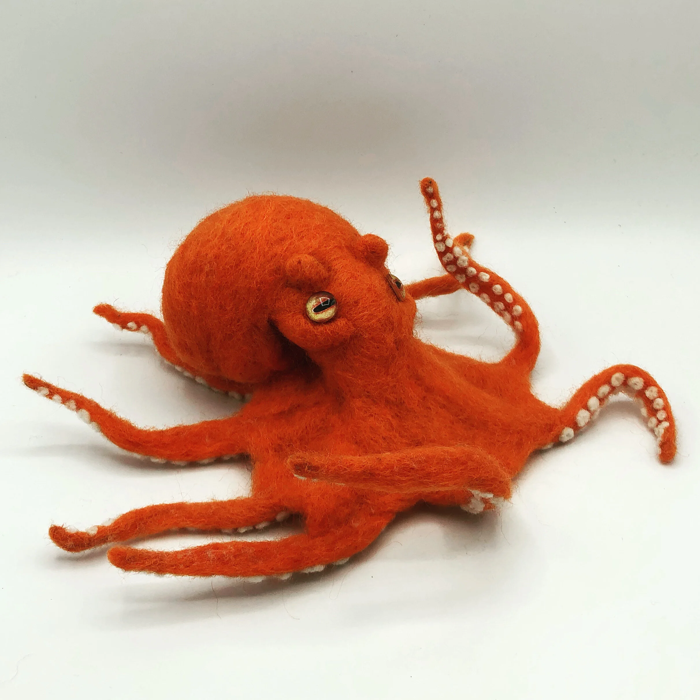 Giant Pacific Octopus 